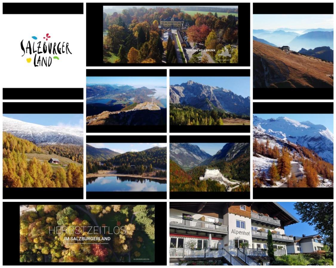 Boutique Alpenhof Hotel 3*