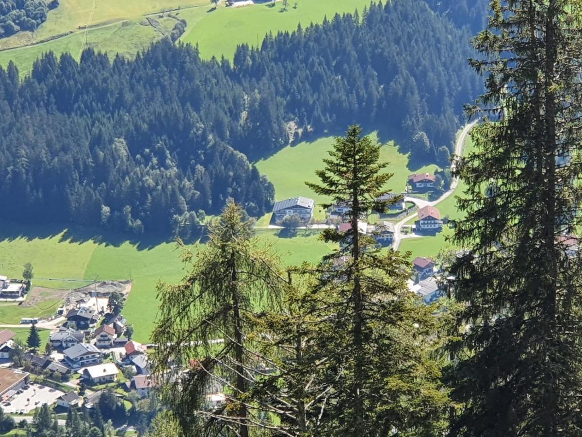 Boutique Alpenhof 3*