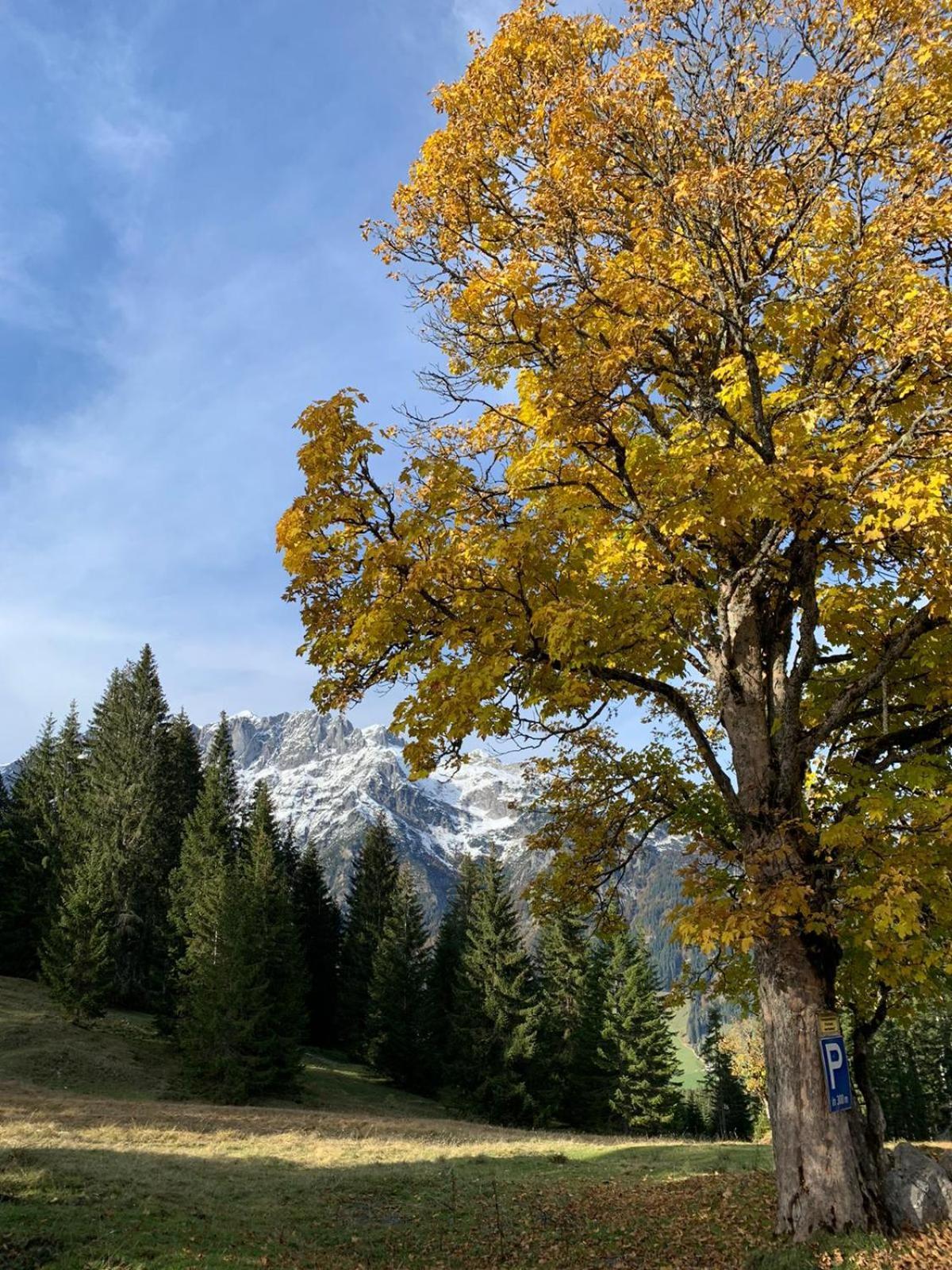 Boutique Alpenhof Hotel 3*